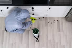 Hình ảnh Khử Mùi Sàn Nhà Và Không Gian Sống