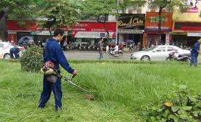 Phát quang bụi rậm, cắt cỏ, tỉa cành